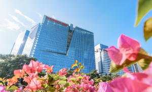 康佳Q1财报亮眼!利润总额同比增长141.79%_华夏商业网_华夏商业网_华夏财经_华夏资讯