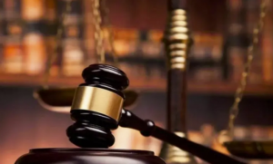 也迪律师说法：虚构宠物品种信息可能构成欺诈_华夏商业网_华夏商业网_华夏财经_华夏资讯