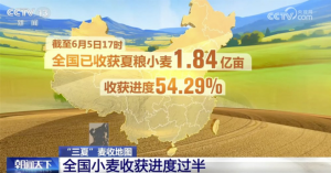 全国小麦收获进度已过半 多地抢收、烘干齐发力守护群众“粮袋子”_华夏商业网_华夏商业网_华夏财经_华夏资讯