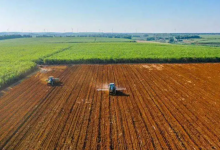 农业农村部：绝不能因病虫防治不到位 导致小麦减产减收_华夏商业网_华夏商业网_华夏财经_华夏资讯