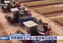 我国夏粮主产区小麦丰收已成定局_华夏商业网_华夏商业网_华夏财经_华夏资讯