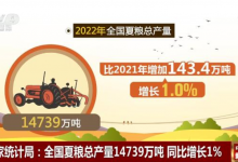 2022年全国夏粮总产量14739万吨 同比增长1%_华夏商业网_华夏商业网_华夏财经_华夏资讯
